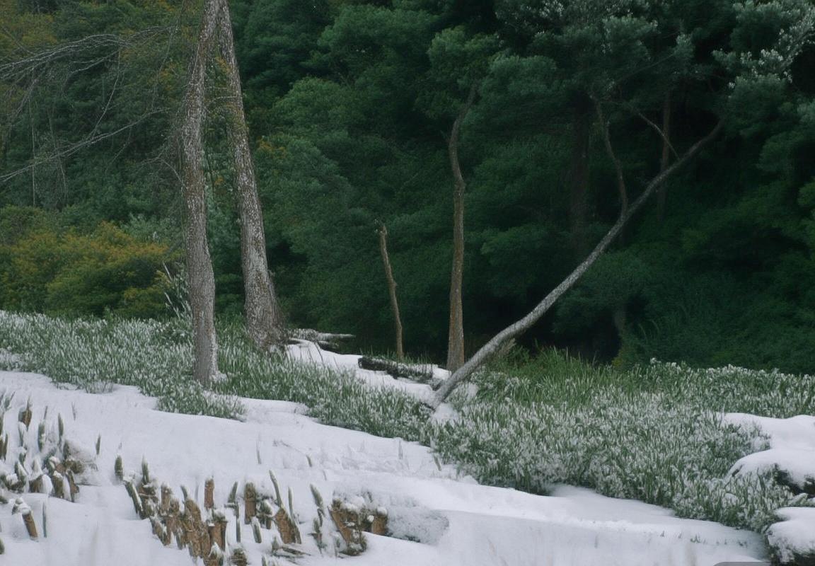 巴伦西亚VS马竞：西甲焦点战激情对决全程回顾(图1)